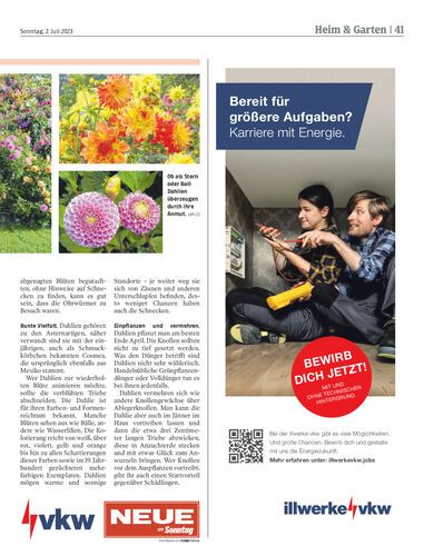 Ausgabe 1688306503, Seite 41