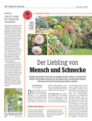Ausgabe 1688306503, Seite 40
