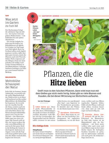 Ausgabe 1689516101, Seite 38