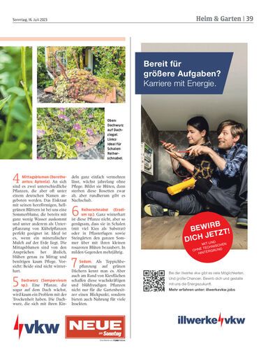 Ausgabe 1689516101, Seite 39