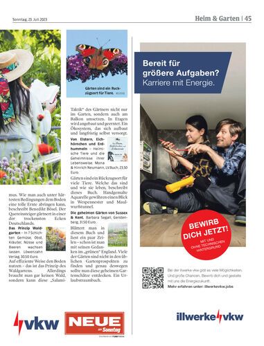 Ausgabe 1690120902, Seite 45