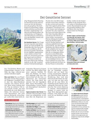 Ausgabe 1690639301, Seite 17