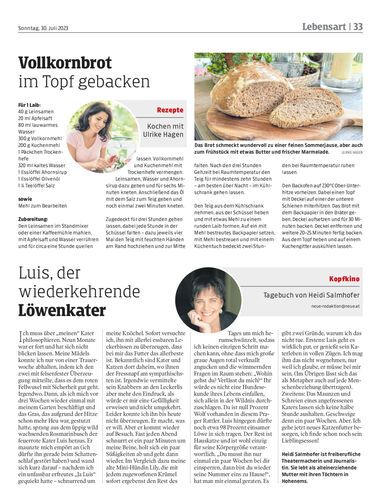 Ausgabe 1690725702, Seite 33