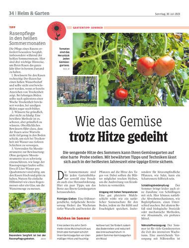 Ausgabe 1690725702, Seite 34