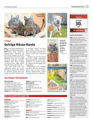 Ausgabe 1690725702, Seite 53
