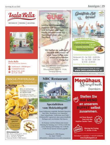 Ausgabe 1690725702, Seite 29