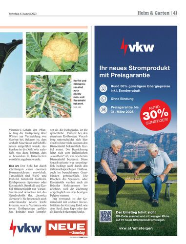 Ausgabe 1691329716, Seite 41