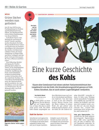 Ausgabe 1691329716, Seite 40