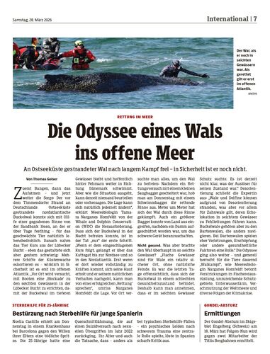 Ausgabe 1774702486, Seite 7