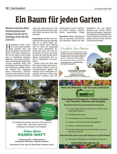 Ausgabe 1774788969, Seite 36