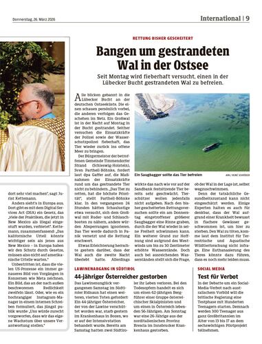 Ausgabe 1774529721, Seite 9