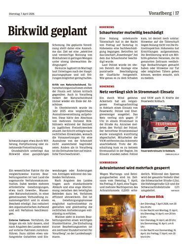 Ausgabe 1775566418, Seite 17