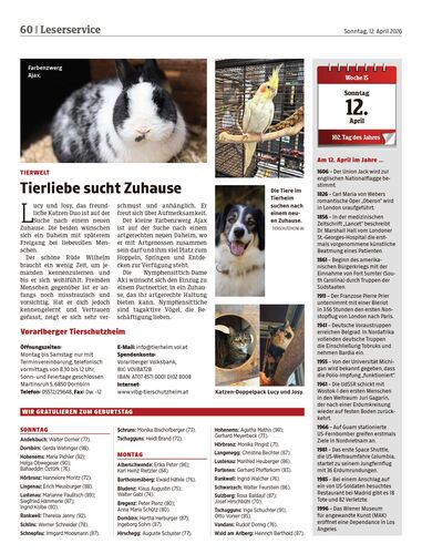 Ausgabe 1775998520, Seite 60