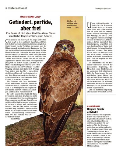 Ausgabe 1775825761, Seite 8