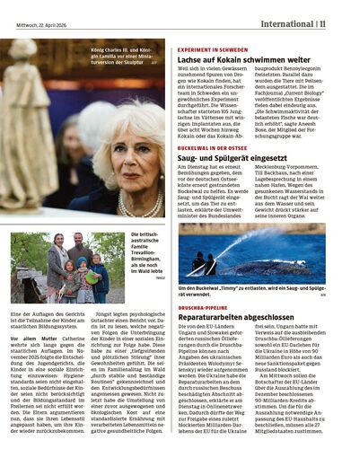 Ausgabe 1776862460, Seite 11