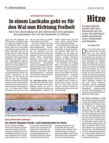 Ausgabe 1777467348, Seite 8